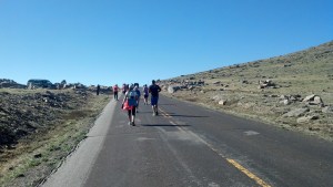 By mile 4, I was truly thinking of throwing out a thumb and sacking the whole race.