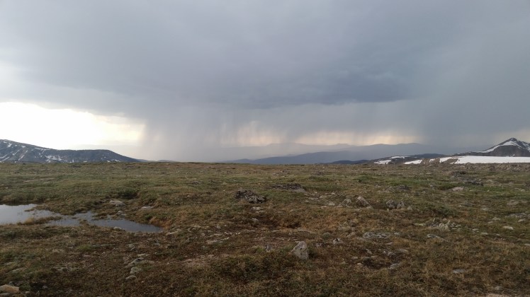 In the last mile to the summit, I noticed a thunderstorm about ten miles away to the north. I started counting the seconds between lightning and thunder, and realized it was quickly approaching. I had two choices: descend immediately back to the tree line even though I would be on the wrong side of the mountain from my car, or race the storm to the summit. I chose the latter and ended up tying with the storm. I had a scary few minutes as I ran the trail, lightning hitting the mountain around me. It’s humbling to realize I made the wrong choice.