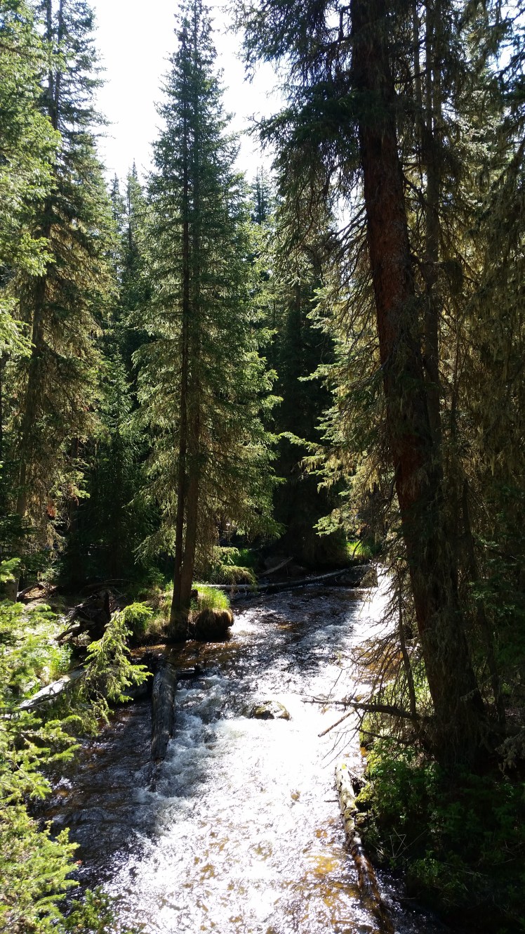 Tonahutu Creek was spectacular. This creek feeds into Grand Lake, the start of the Colorado River.