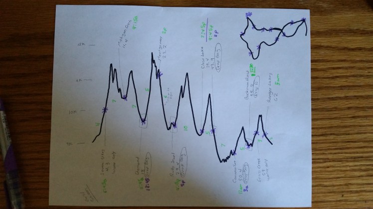 Organization is one of my fortes. I kept this cheat sheet in my pocket so I knew when to expect the aid stations and big climbs.