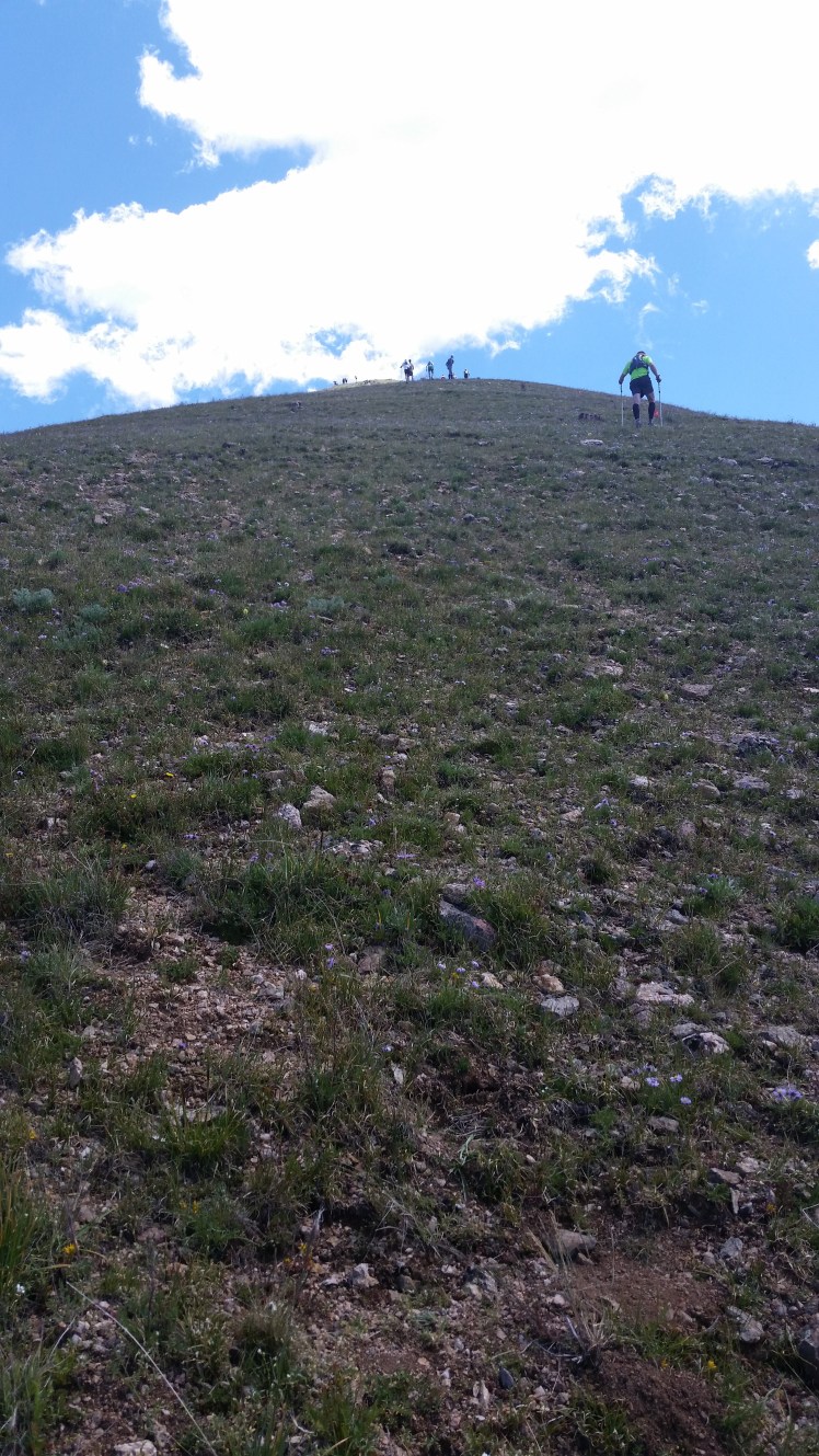 The steepest climb at mile 21. This was my slowest mile.