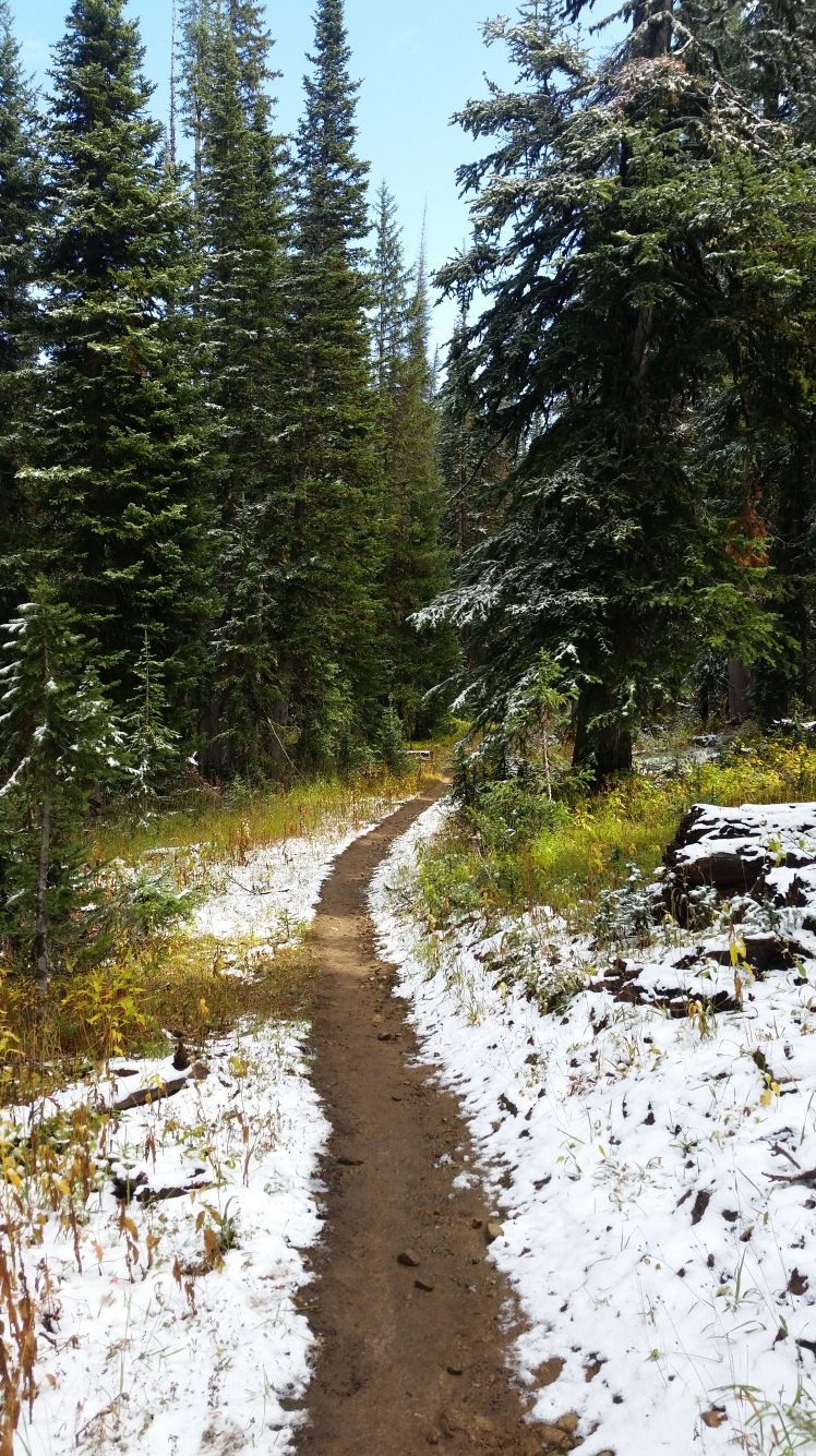 Running through a fresh September snow. (at least it was an easy trail)